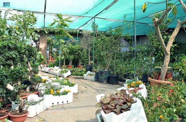 The MEWA has started implementing the first phase of two initiatives to plant 49 million fruit and lemon trees in various regions of the Kingdom as part of the ambitious SGI.