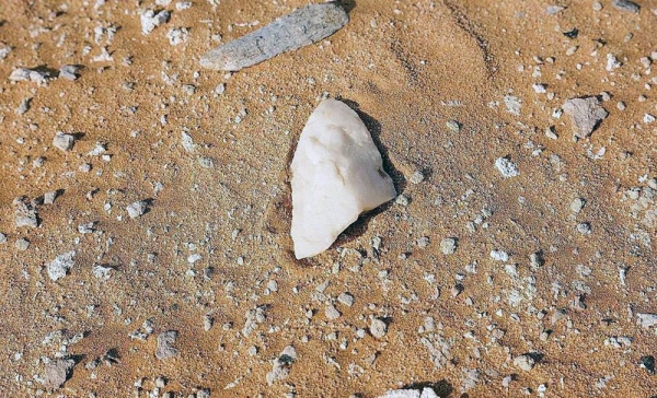 The ‘Heart of Arabia’ expedition team, led by British explorer Mark Evans, has uncovered stone hunting axes and other tools that date back to an ancient time.