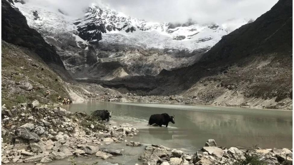 A glacial lake at the foot of Jomolhari mountain in Bhutan.