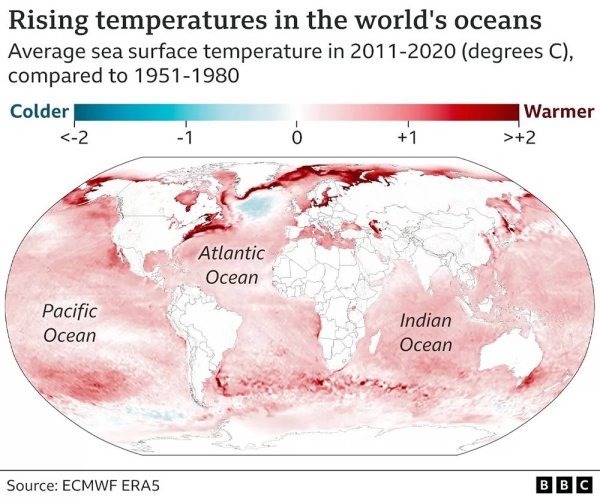 Recent, rapid ocean warming ahead of El Niño alarms scientists