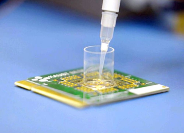 The sensor developed by the KAUST team detects pathogens from saliva samples provided by volunteers at King Faisal Specialist Hospital and Research Center.