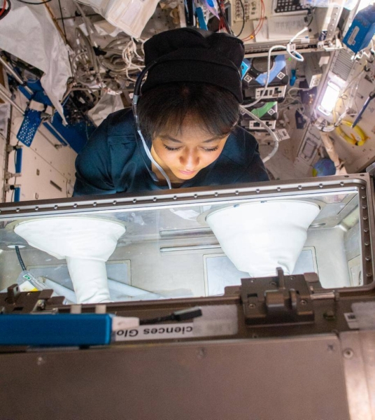 Saudi astronauts Rayyanah Barnawi and Ali Al Qarni started their scientific mission AX-2 on board the International Space Station (ISS).
