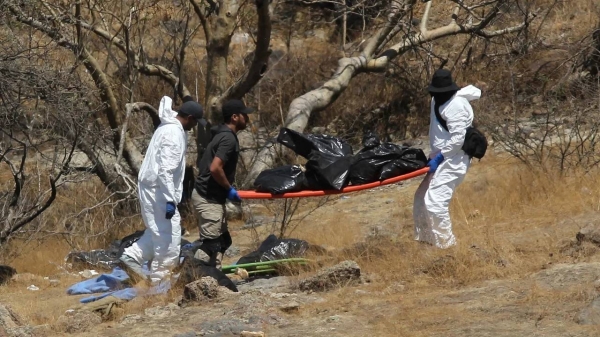 Forensic experts carry bags of human remains found in a ravine in Zapopan, Mexico on May 31.