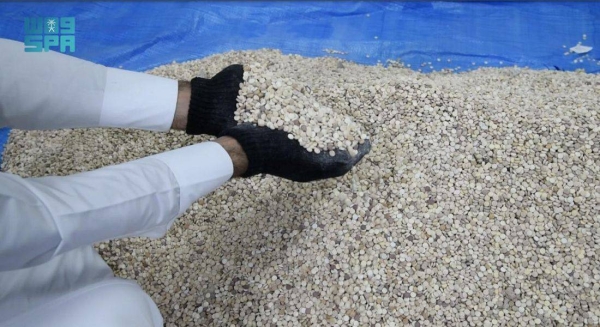 1.8 million amphetamine pills seized from underground chamber In Jouf farm