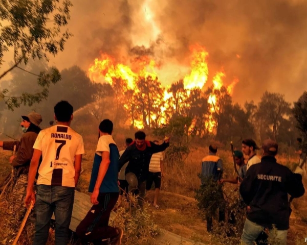 Saudi Arabia expresses profound sorrow for victims of Algeria forest fires