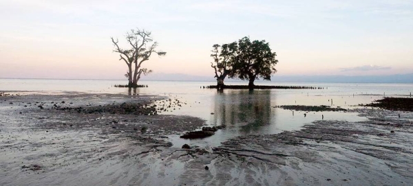 Rising sea levels are threatening the future of low-lying islands in the South-West Pacific. — courtesy WMO/João Murteira