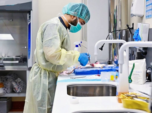 The Experimental Surgery and Animal Laboratory (ESAL), established in 1987 at the College of Medicine at King Saud University in Riyadh, provides medical research and training programs for various clinical and animal studies.