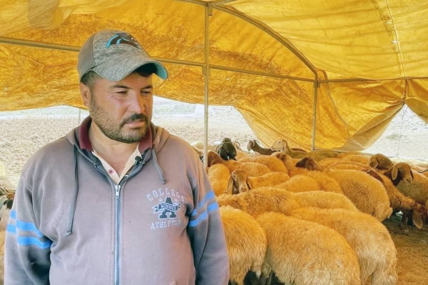 Driven from his home, Abu Ammar Alia now keeps his sheep on temporarily rented land