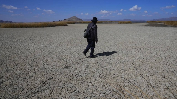 Parts of Lake Titicaca have dried out due to falling water levels.