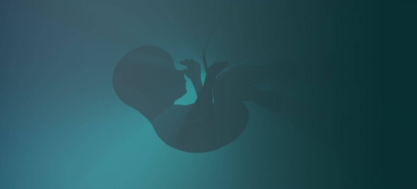 Public Prosecution warns that stringent punitive measures will be taken against those who are engaged in illegal practicing of infertility treatment.