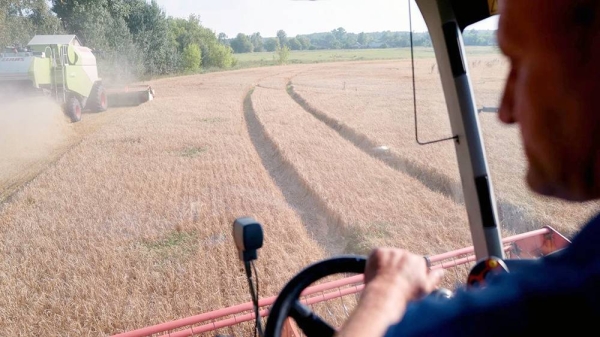 Workers harvest a field of barley near the border with Russia in the Chernihiv region of Ukraine on Aug. 30, 2023. — courtesy Getty Images