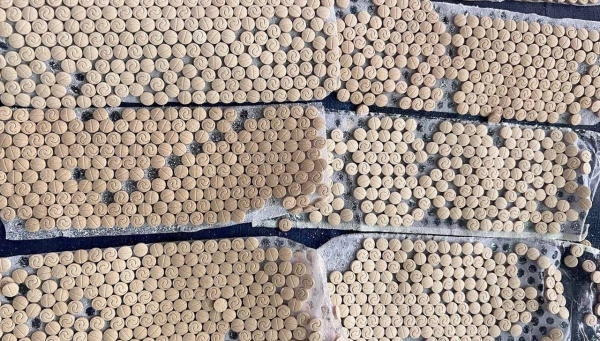 Saudi Arabia, UAE cooperate to thwart smuggling of about 8 mln amphetamine pills 