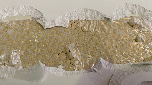 Saudi Arabia, UAE cooperate to thwart smuggling of about 8 mln amphetamine pills 