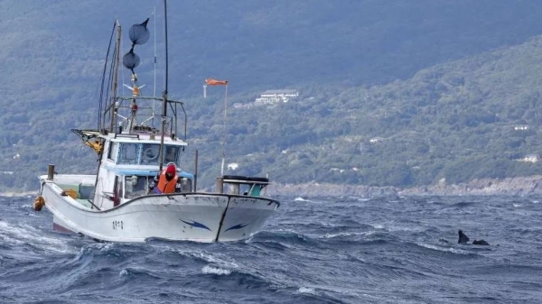 The crash of the Osprey sparked a large search effort by US and Japanese teams