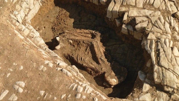 The skeletons are remarkably well preserved given their age