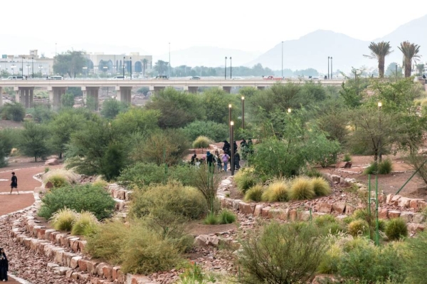 The National Center for Vegetation Development and Combating Desertification in Saudi Arabia has revealed a substantial increase in the vegetation cover of the Madinah region by 360% over the past five months of 2023, from August to December.
