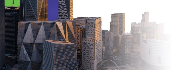 The General Authority for Statistics noted that this survey will help provide statistical data that enables decision-makers, policymakers, and investors to deal with data for the purposes of local, regional, and international comparisons, as well as for conducting studies and analyses.