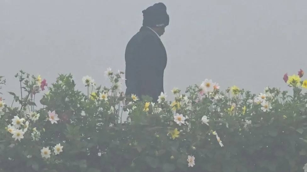 Delhi and the rest of north India have been experiencing cold wave conditions this January