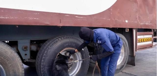 The Zakat, Tax and Customs Authority (ZATCA) thwarted an attempt to smuggle 1,683,000 Captagon pills at the Haditha Port in Riyadh. 