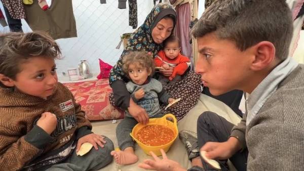 Mohammed is one of thousands of children who have become primary food gatherers for their families