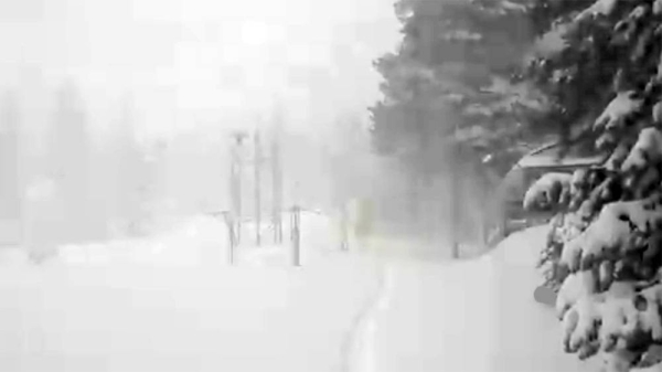 Blizzard weather conditions wreak havoc in California.