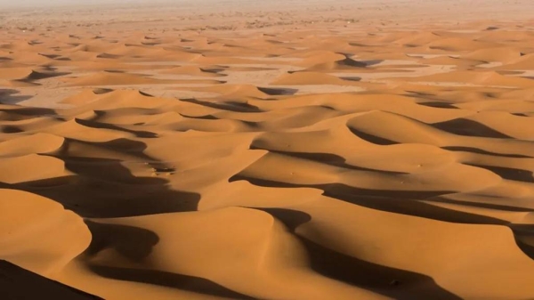 The migrants were trying to cross the Libyan desert