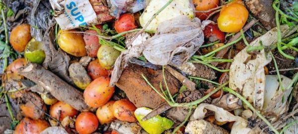 One fifth of all food available to consumers eventually goes to waste, a new UNEP report reveals. — courtesy FAO/Sumy Sadurni