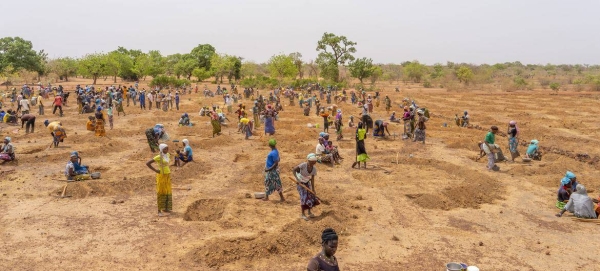 People in rural Burkina Faso prepare a field to plant trees and shrubs to help revitalize the soil and prevent erosion. — courtesy WFP/Cheick Omar-Bandaogo