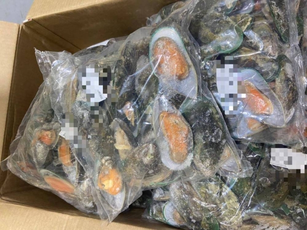 The Ministry of Commerce announced the arrest of 13 illegal workers who were involved in running a commercial firm specialized in trading expired seafood in violation of the Anti-Commercial Fraud Law  