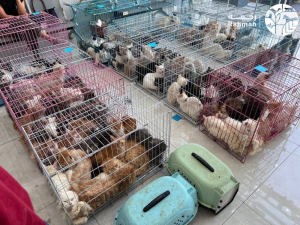 Specialized teams seized 130 pets living in unsanitary conditions and confiscated quantities of expired and unfit medicines being used to treat the animals. (@Rahmah_ksa)