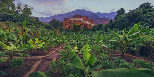 Saudi Arabia’s environmental initiatives show how local communities are playing a key role in the Kingdom’s environmental efforts. (SGI)