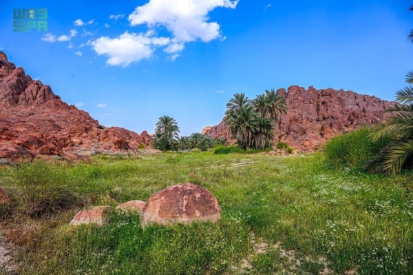The area is a mix of steep slopes, flat plains, and winding valleys, making it a unique part of Hail’s natural environment. (SPA)