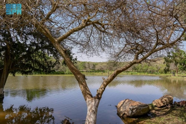 Al Baha’s valleys embody magic of nature in Saudi Arabia
