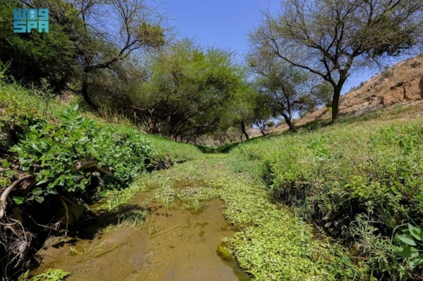 Al Baha’s valleys embody magic of nature in Saudi Arabia