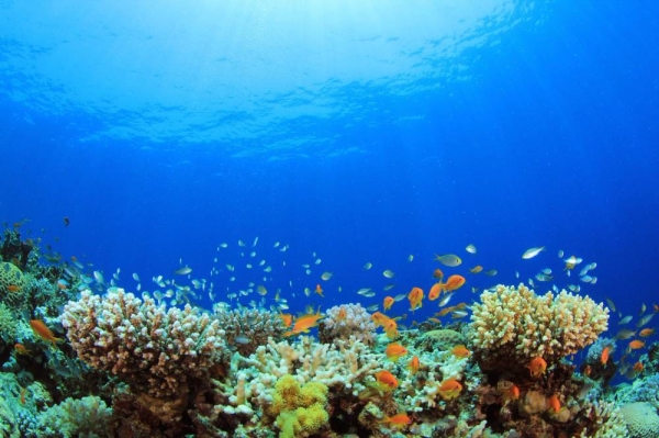OceanQuest aims to lead a new era of deep-ocean exploration and global knowledge exchange.