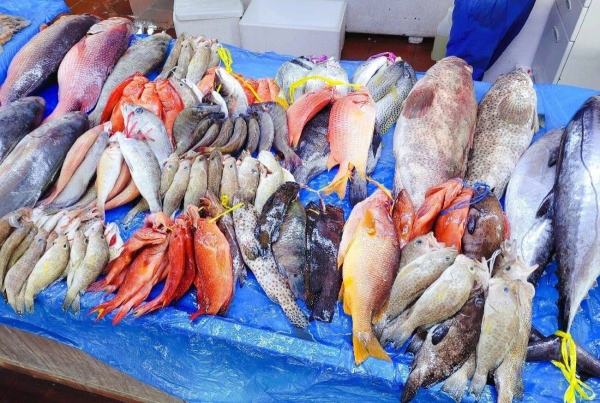 SFDA cites most common cases of fish food poisoning and ways to prevent them