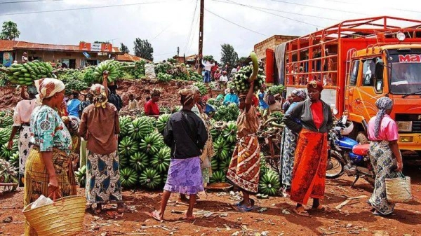 Tanzanian traders have been ordered to halt all shipments to South Africa and Malawi
