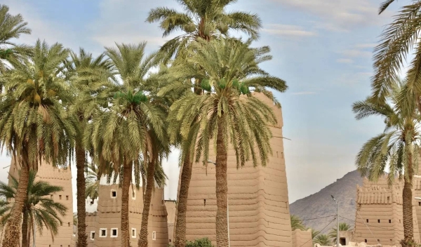 Al Qabil Village:  An oasis of ancient palms and historic mud homes in Najran