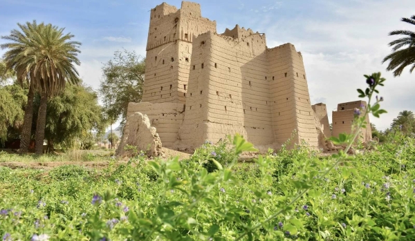 Al Qabil Village:  An oasis of ancient palms and historic mud homes in Najran