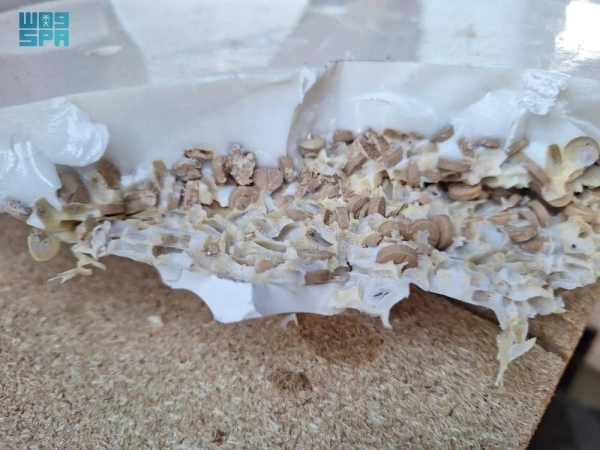 Lebanon’s Customs were able to foil an attempt to smuggle more than 5,000,000 amphetamine pills.