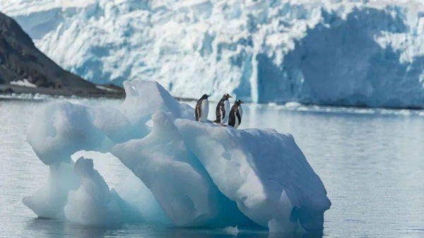King George island is part of the the continent of Antarctica, and is claimed by Chile