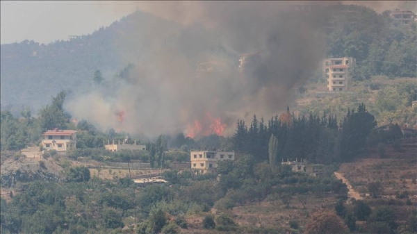 Syrian teams contain 80% of wildfires in northern Latakia, officials say