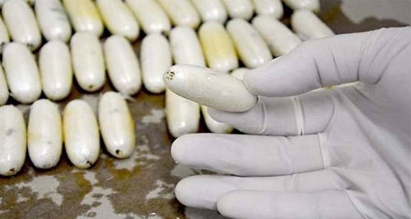 The Saudi security authorities have contributed to foiling an attempt to smuggle 125 kg of cocaine into Lebanon.
