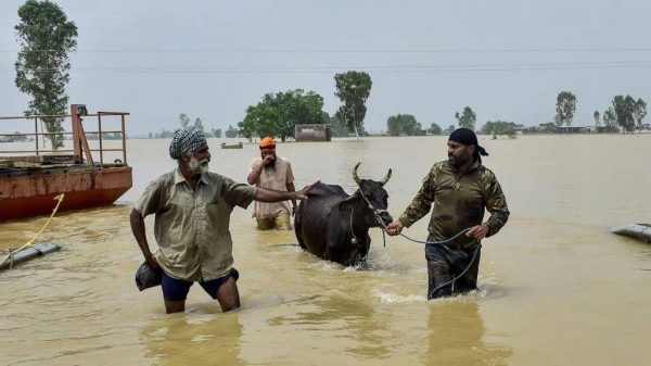 Multiple disaster response teams, along with the army, are aiding the rescue operations