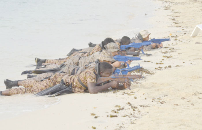 Naval forces exhibit their prowess