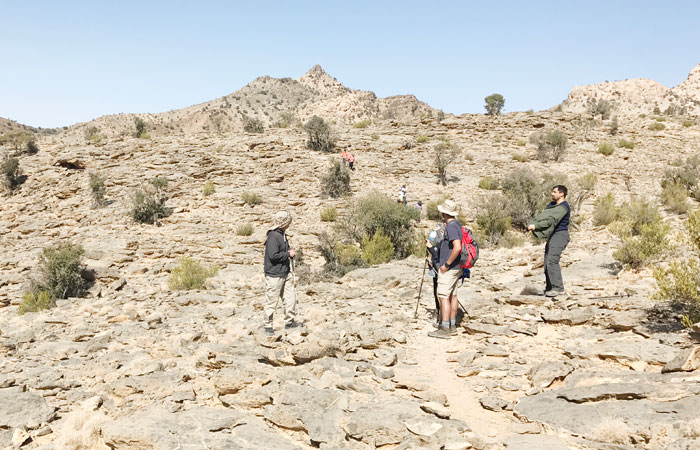 Amp up your camping experience with the right apps