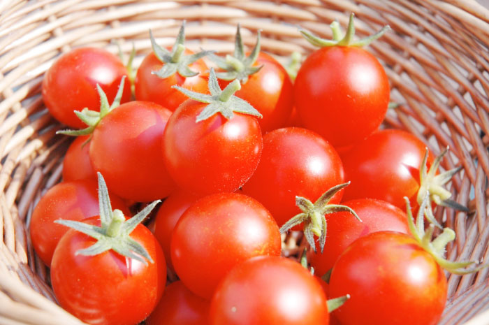 Tomatoes