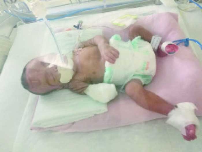 New-Born