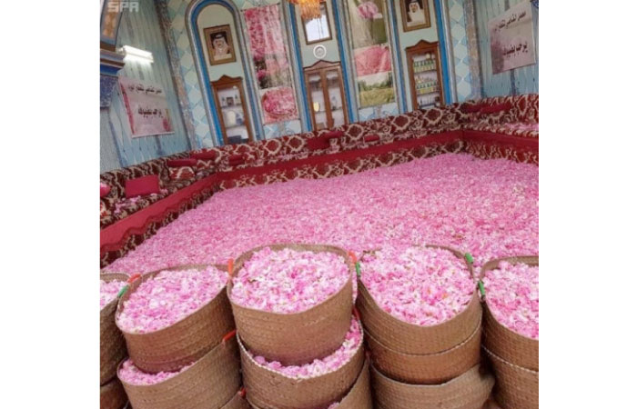 As many as 1,456,000 visitors from within the Kingdom and abroad visited the rose festival that concluded in Taif on Saturday. — Okaz photo