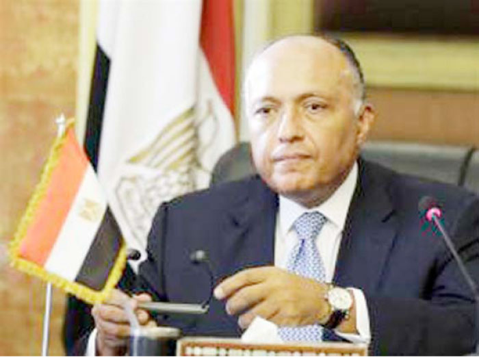 Egyptian Foreign Minister Sameh Shoukry